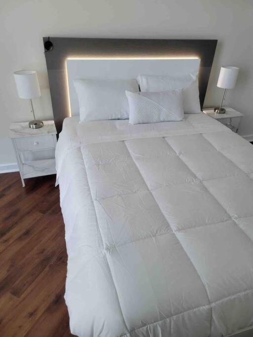 Luxury Apt 3 Mins To Dt Tampa -Pool-Gym-Balcony Dış mekan fotoğraf